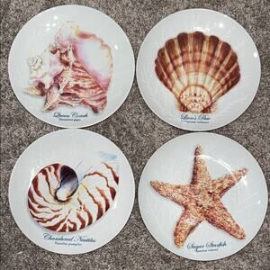 Captiva Set of 4 salad plates conch lion’s paw nautilus starfish beach house